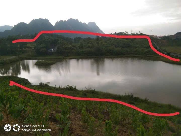 Đất vườn 3ha tại Sơn Tây, Hà Nội - Hồ tự nhiên và cây ăn quả - Giá thỏa thuận!