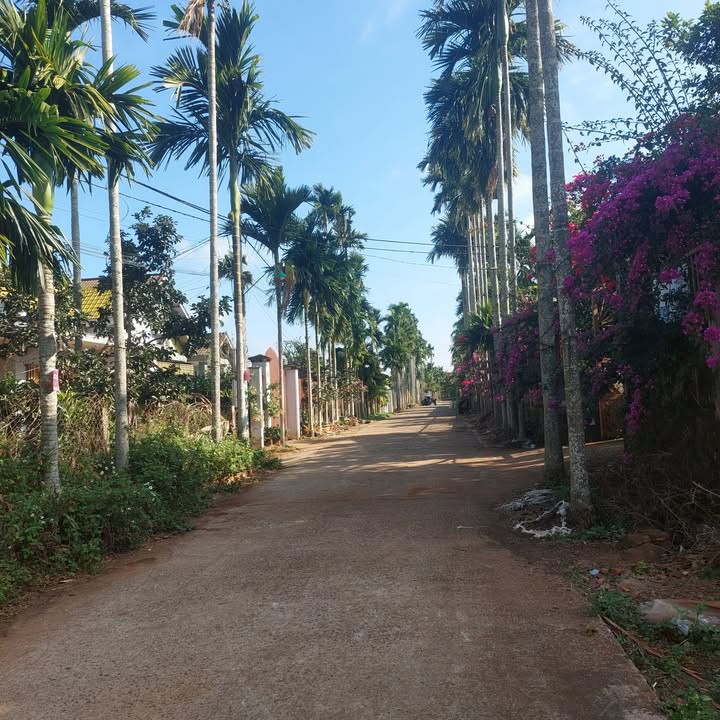 Đất dự án Hòa Thắng BMT 260m² giá chỉ từ 700 triệu - Cơ hội đầu tư sinh lời!