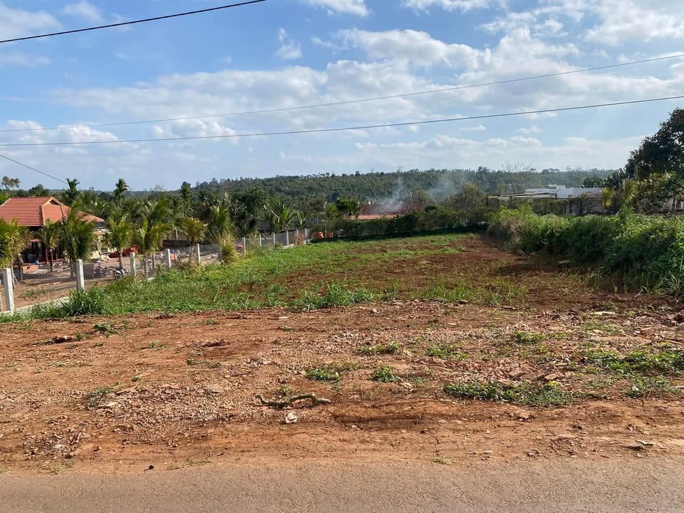 Đất nền 1000m² tại Buôn Tân Mai, Krông Búk, giá 750 triệu - Cơ hội đầu tư hấp dẫn!