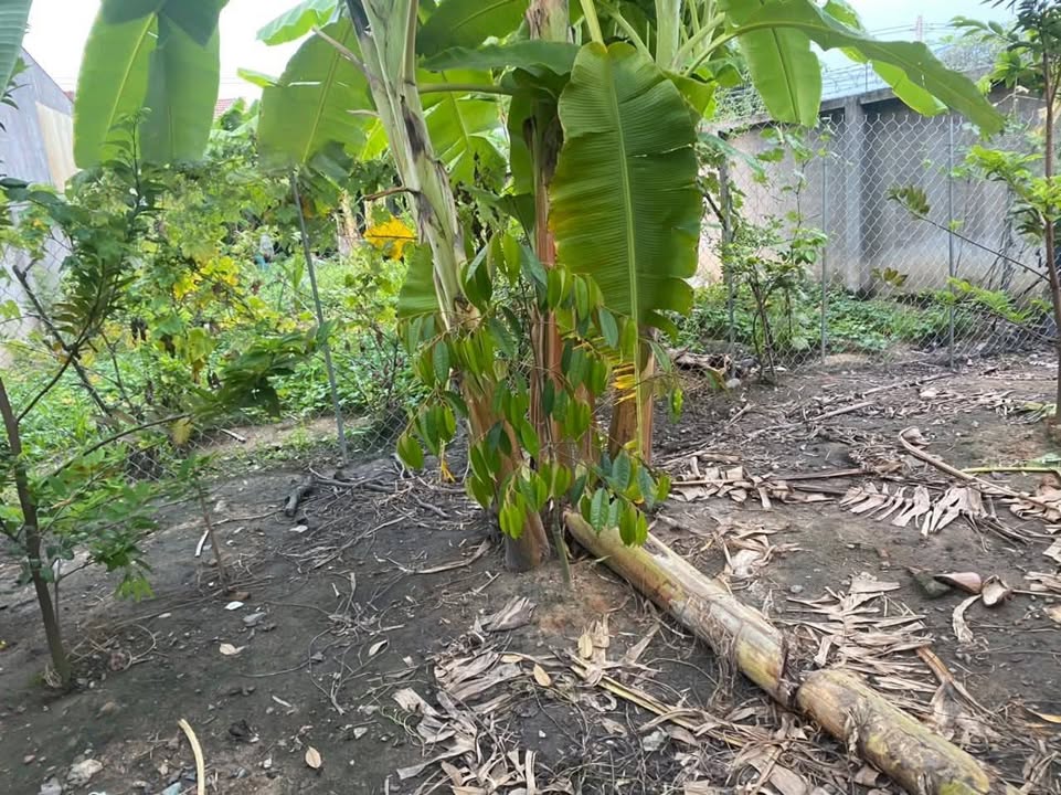 Đất Hưng Định 390m² giá 6 tỷ - Đầu tư sinh lời ngay!