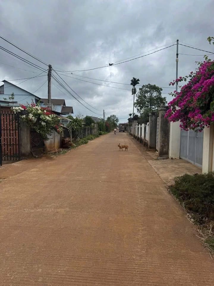 Đất hẻm cấp 1 Tỉnh lộ 8 - Hà Huy Tập 120m² giá 2.55 tỷ - Đầu tư sinh lời ngay!