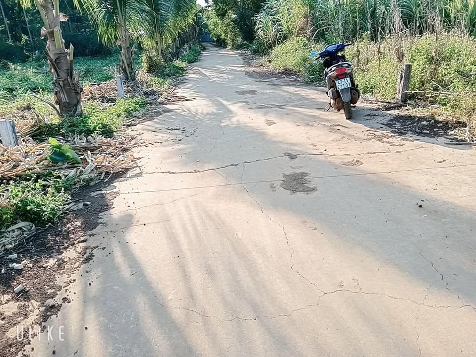 Đất thổ cư Thôn 11, Xã Ea Tiêu, 156m² giá 385 triệu - Vị trí đẹp, pháp lý rõ ràng!