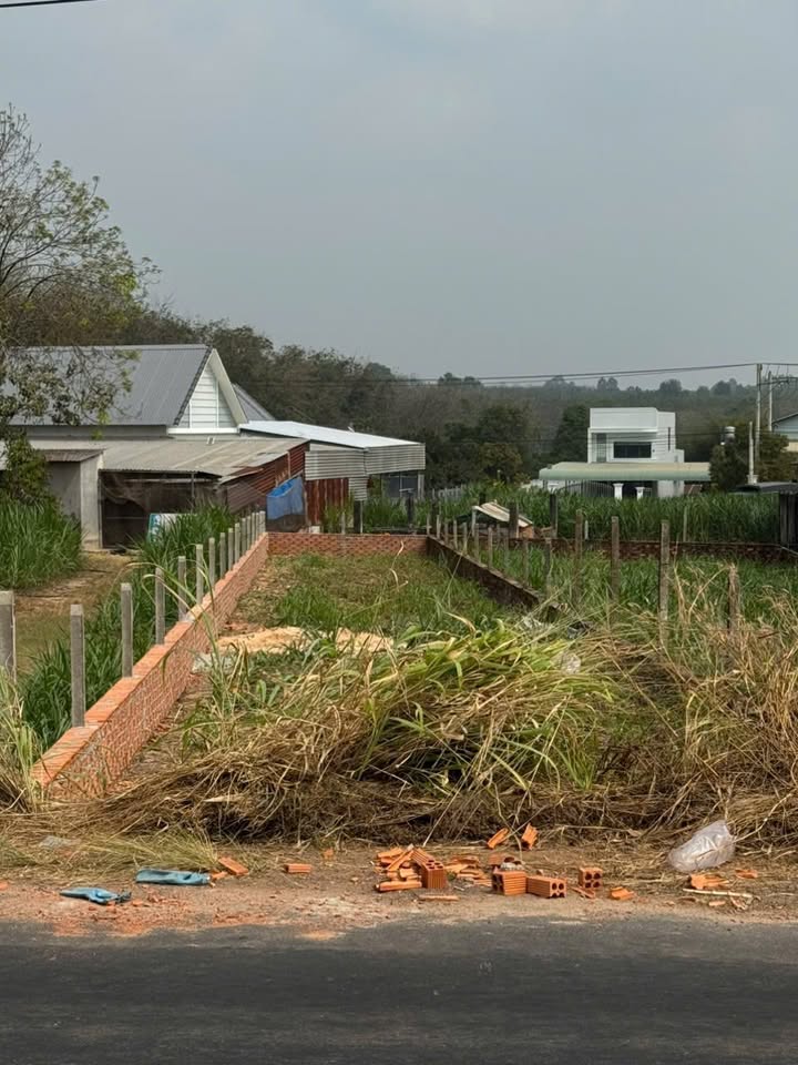 Đất nền 511 Vĩnh Hoà, Tân Uyên 2500m² - Giá thỏa thuận hấp dẫn!