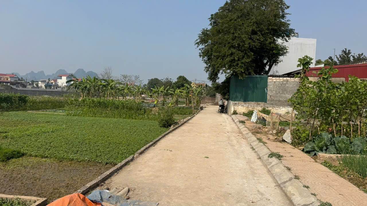 Đất nền Viêm Khê, Hợp Tiến 91.5m² - Pháp lý rõ ràng, giá tốt!