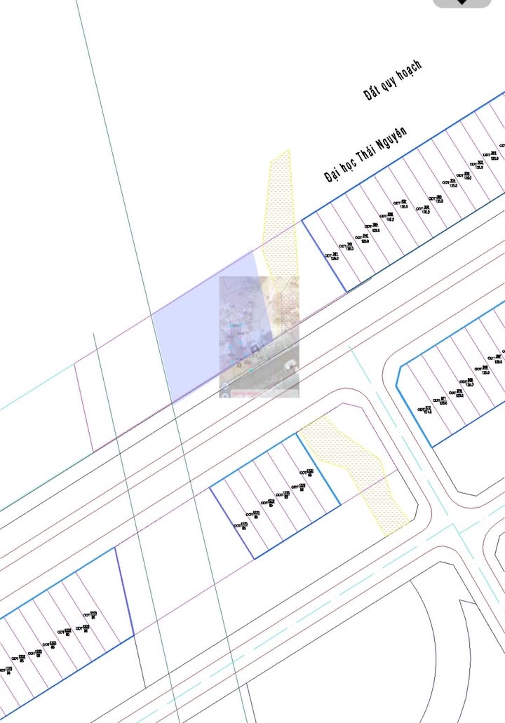 Đất vườn 400m² tại Bắc Quỳnh, Lạng Sơn - Cơ hội đầu tư hấp dẫn!