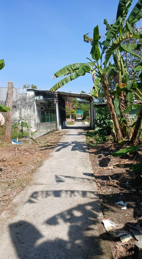 Đất nền Vị Thanh 540m² giá 298 triệu - Cơ hội đầu tư hấp dẫn!