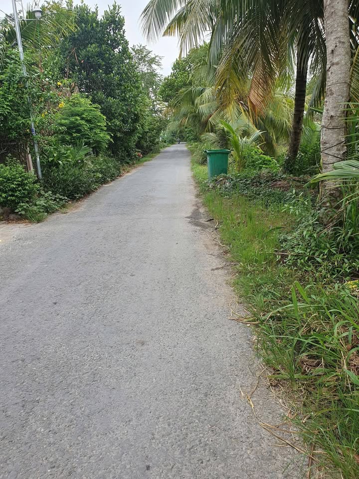 Nhà mặt tiền đường nhựa DH31B, xã Bình Phước, diện tích 102m², giá 600 triệu - Cơ hội đầu tư tuyệt vời!