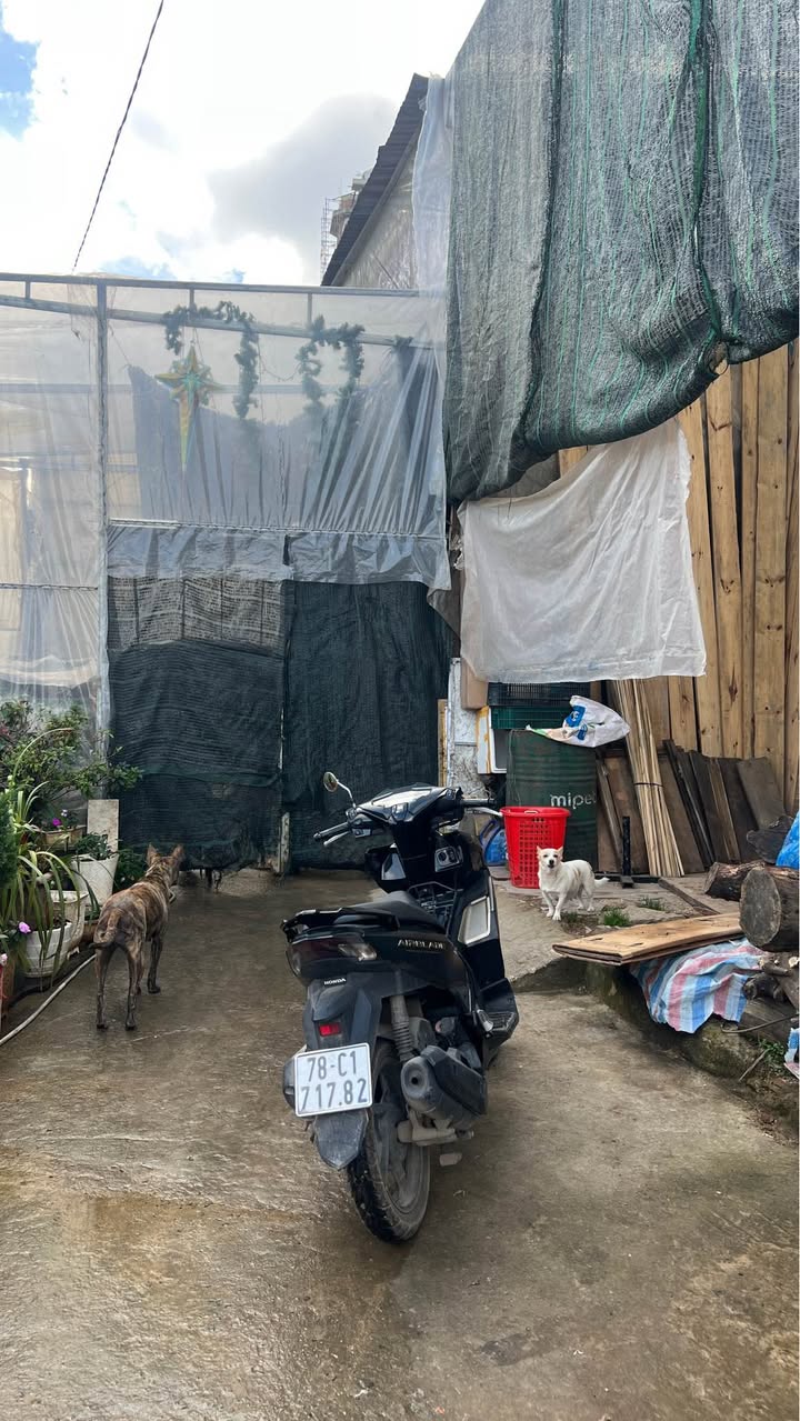 Đất nền 80m² Đường Nguyễn Hữu Cảnh giá 1 tỷ - Sổ đỏ chính chủ, thương lượng!