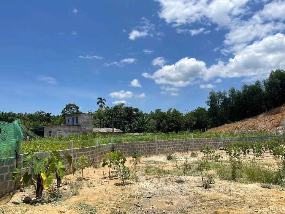 Đất nền Sun Group Kim Bôi 2000m² giá chỉ nhỉnh 1 triệu/m² - Cơ hội đầu tư vàng!