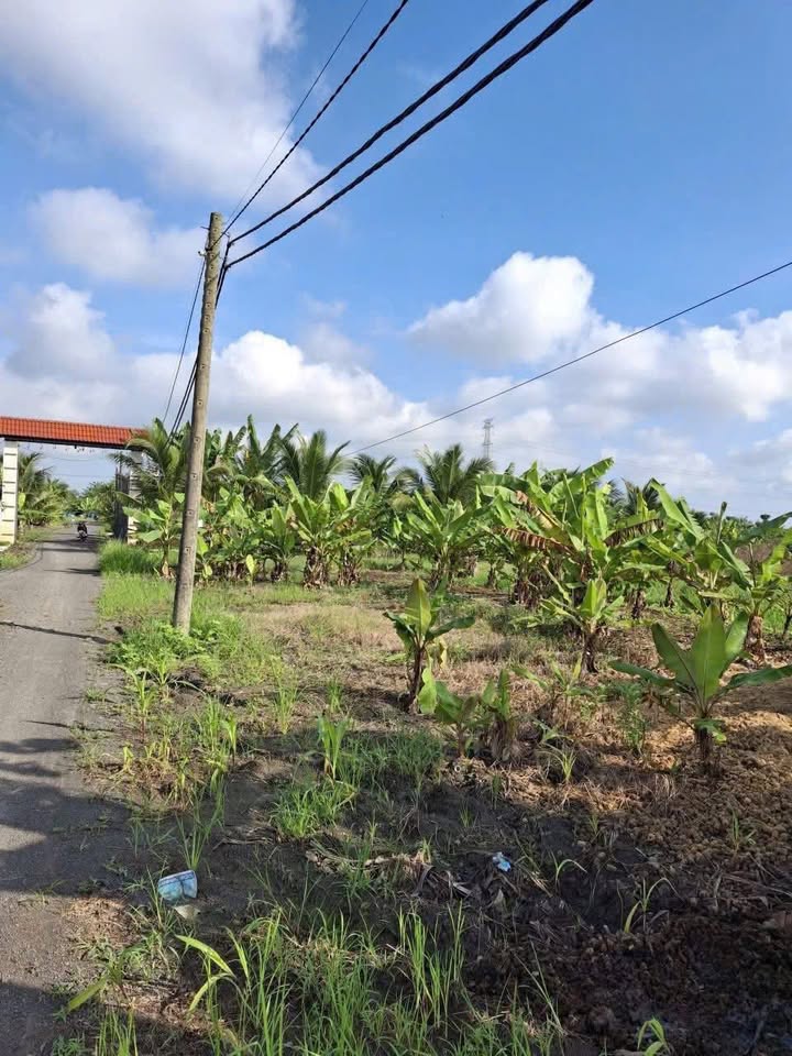 Đất nền 2900m² tại xã Sông Thao, Trảng Bom - Giá chỉ 1.3 tỷ, thương lượng!