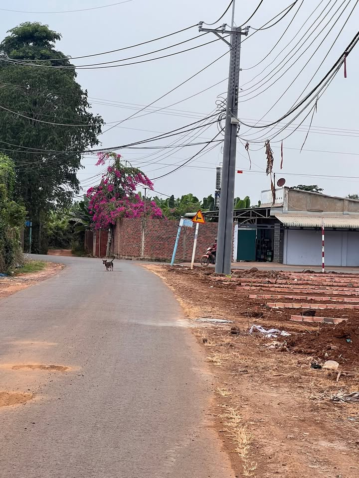 Đất nền thổ cư Bàu Hàm, Trảng Bom 140m² giá chỉ từ 750 triệu - Pháp lý rõ ràng!