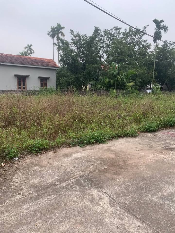 Đất nền xã Công Lý, huyện Lý Nhân 99m² giá 800 triệu - Cơ hội đầu tư tuyệt vời!