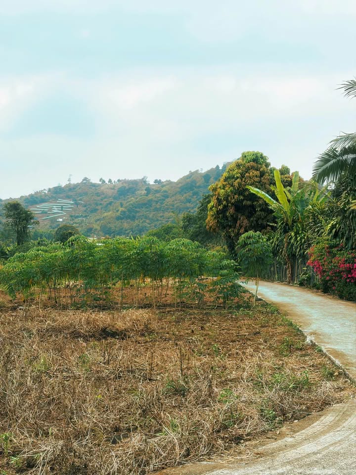 Đất nền 1 sào Hàng Gòn, Long Khánh 1500m² - Sổ hồng chính chủ, giá 2.2 tỷ!