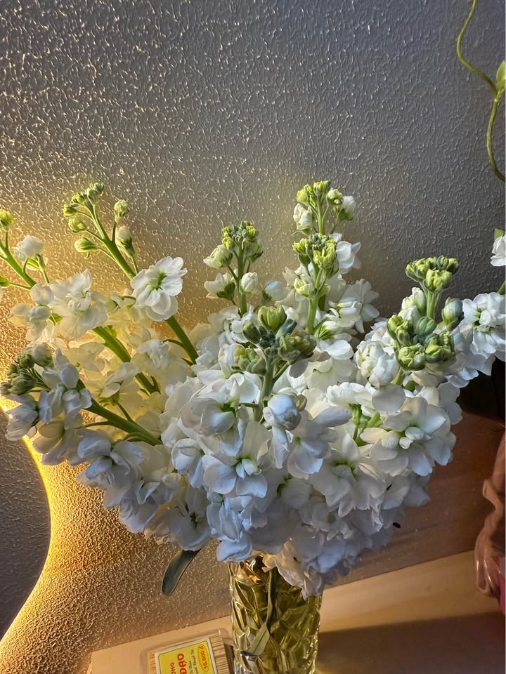 Nhà C4 Vinh Hưng Mới 72m² giá 2.3 tỷ - Full nội thất, ô tô vào tận nơi!