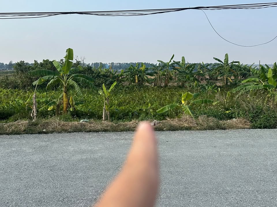 Đất nền trục xã An Ninh, Tiền Hải 125m² chỉ 1.3 tỷ - Đầu tư sinh lời ngay!