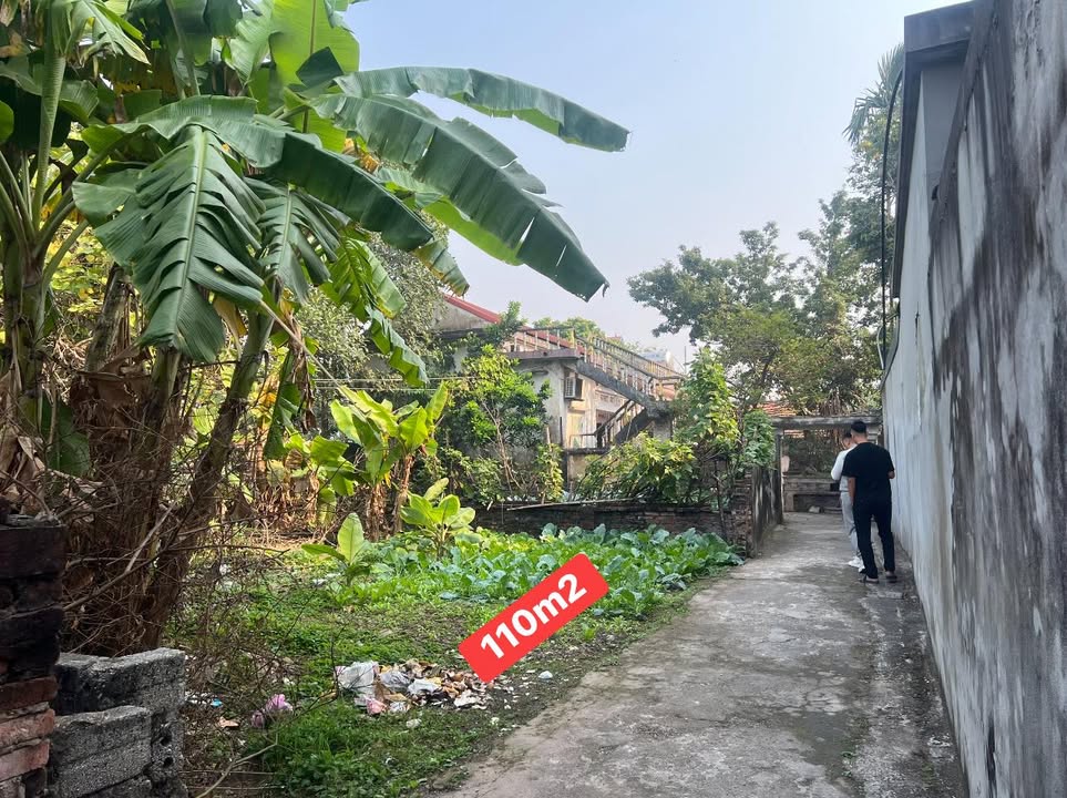 Đất nền 110m² Phường Hòa Mạc, Thị xã Duy Tiên - Cơ hội đầu tư lý tưởng!