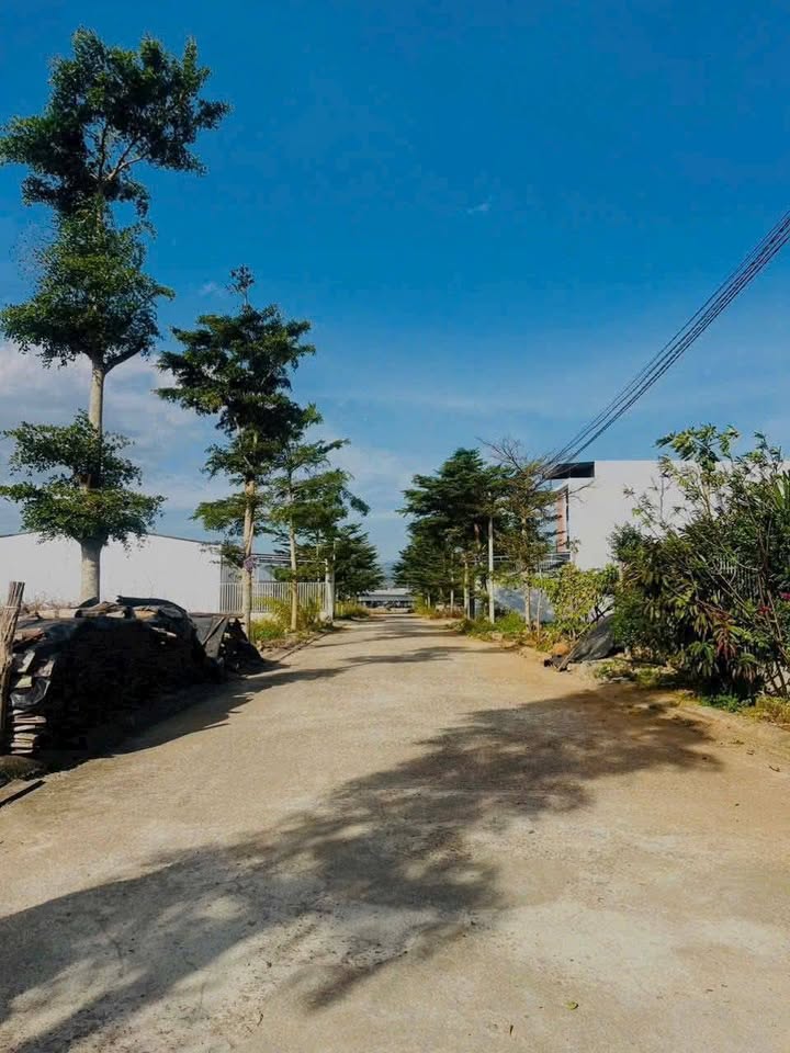 Đất nền Nghĩa Hiệp, Đức Trọng 126m² giá 1.42 tỷ - Đầu tư sinh lời ngay!