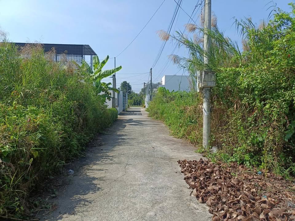 Đất thổ cư Thanh Đức, Long Hồ 110m² giá 600 triệu - Đầu tư sinh lời ngay!