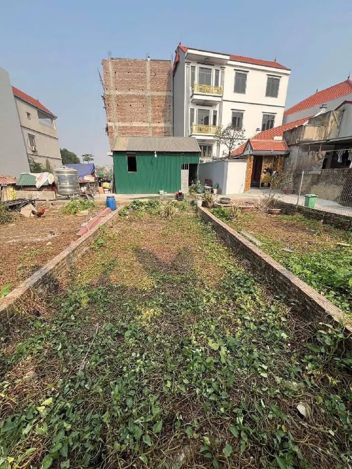 Đất phân lô Tân Tây Đô - Hoài Đức 48m² giá 4.x tỷ - Tiềm năng đầu tư lớn!