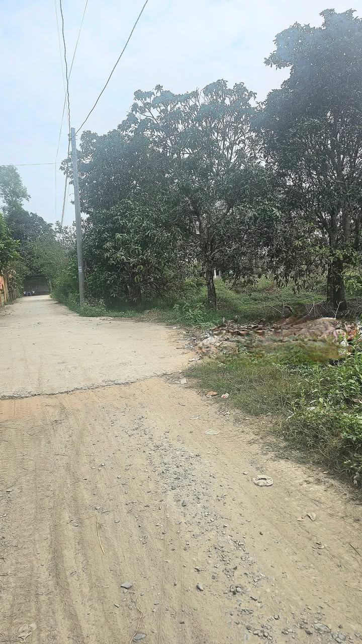 Lô đất đẹp 120m² tại xã Đức Hòa Hạ, Long An - Sổ hồng chính chủ, giá 950 triệu!