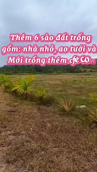 Lô rẫy Xã Đắk Phơi, Huyện Lắk 11000m² - Đường đi dễ dàng, thuận lợi kinh doanh!