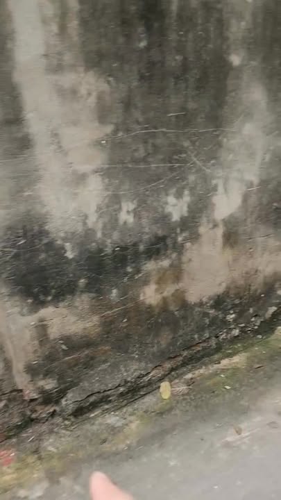 Lô đất Hoài Thượng, Thuận Thành 72m² giá 2.9 tỷ - Đầu tư sinh lợi ngay!