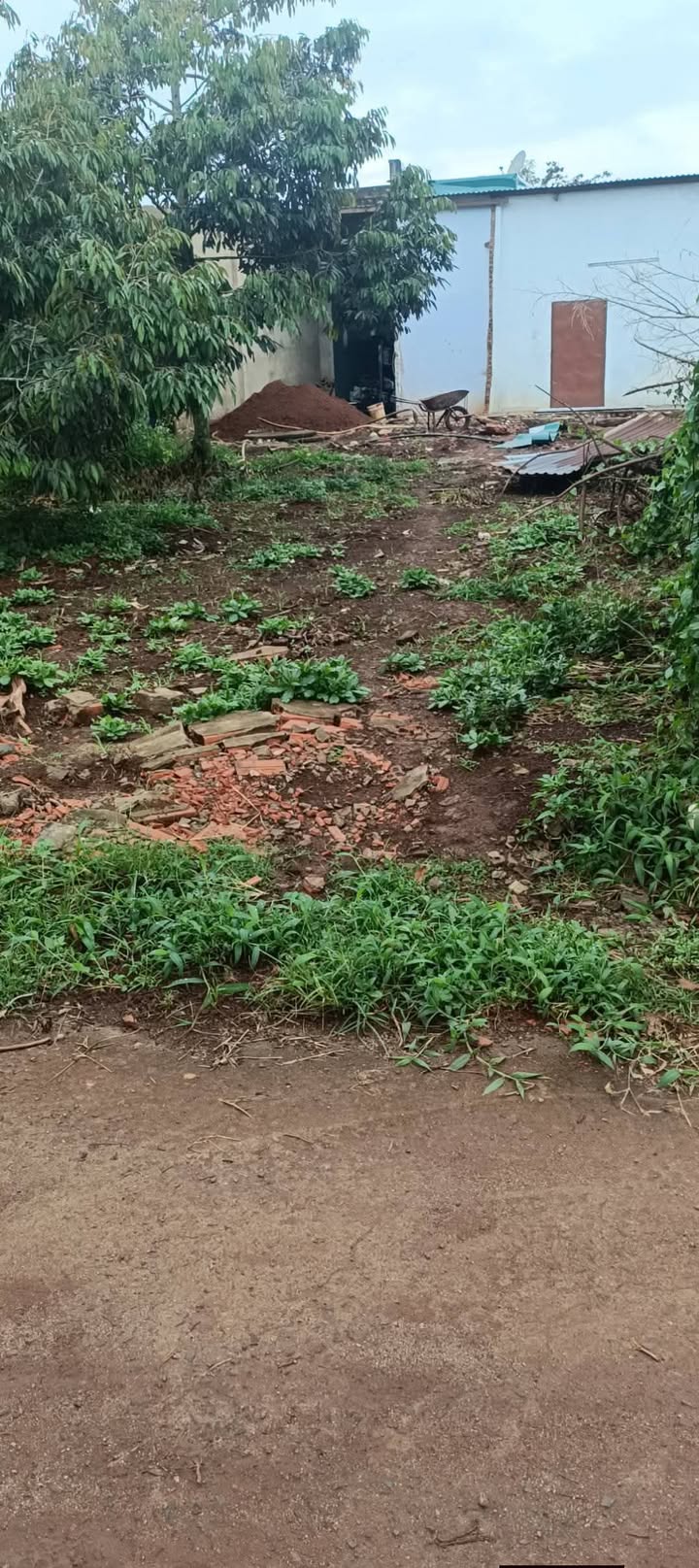 Đất hẻm Nguyễn Duy Trinh, Buôn Hồ, 220m² giá 1.55 tỷ - Sổ hồng chính chủ, thương lượng ngay!