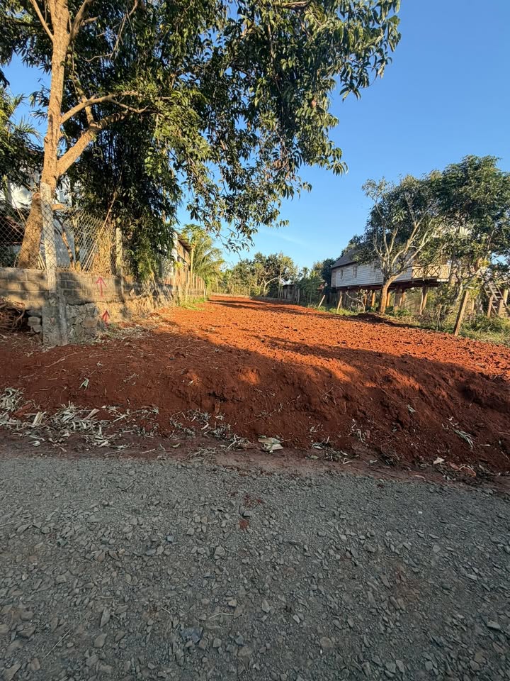 Nhà mặt tiền Trần Khánh Dư, Quận Bình Tân, 190m² giá chỉ 990 triệu - Cơ hội đầu tư hấp dẫn!