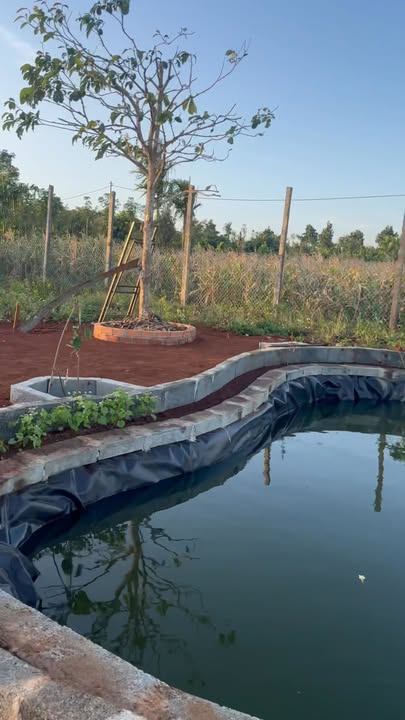 Đất nền Hoàng Quốc Việt 600m² giá 90 tỷ - Mặt tiền rộng, vị trí đắc địa!