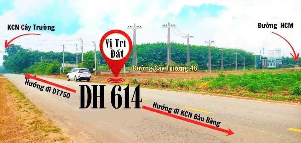 Đất thổ cư Cây Trường 2, Dĩ An 11.000m² giá 3 tỷ - View suối tuyệt đẹp!