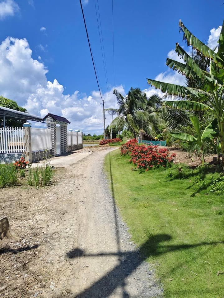 Đất ao tôm 5600m² tại xã Ngọc Tố, Mỹ Xuyên - Giá chỉ 370 triệu!