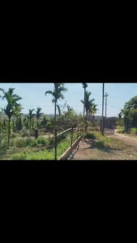 Đất thổ cư Thôn 9, Đắk R'La 1,9ha giá 4,5 tỷ - Phù hợp an cư và đầu tư!