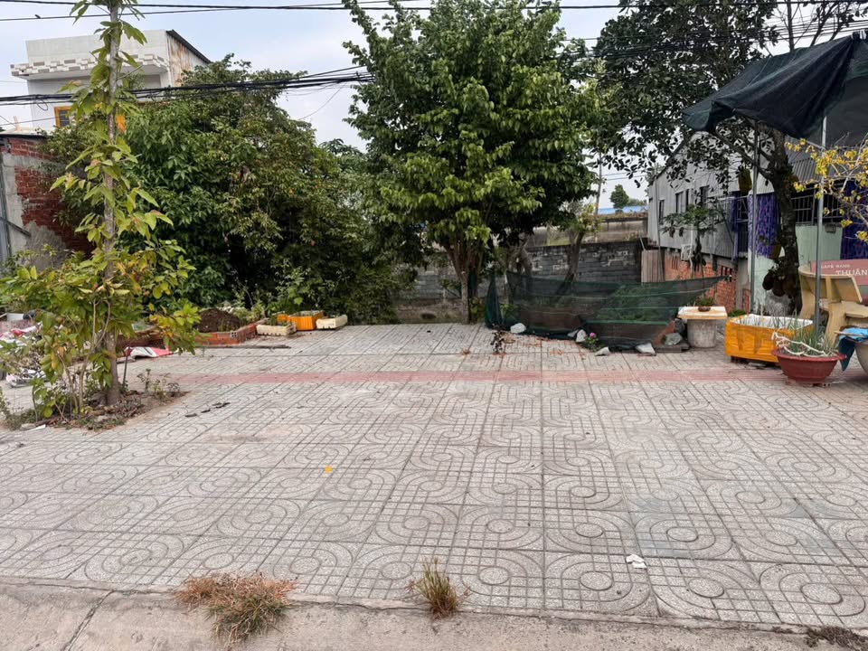 Đất nền Mặt Tiền Mậu Thân, Phường Châu Phú A, 72m² giá 1.23 tỷ - Sổ hồng chính chủ, thương lượng!