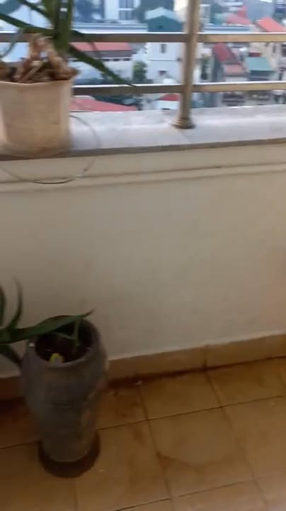 Chung cư Nàng Hương 583 Nguyễn Trãi 72m² giá 9 triệu - Full nội thất, nhận nhà ngay!