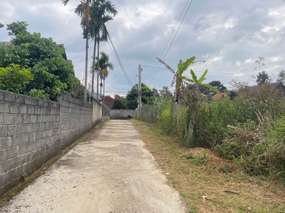 Đất hẻm đường 1/5, phường B'lao, TP. Bảo Lộc 169m² giá 1.65 tỷ - Sổ đỏ chính chủ!