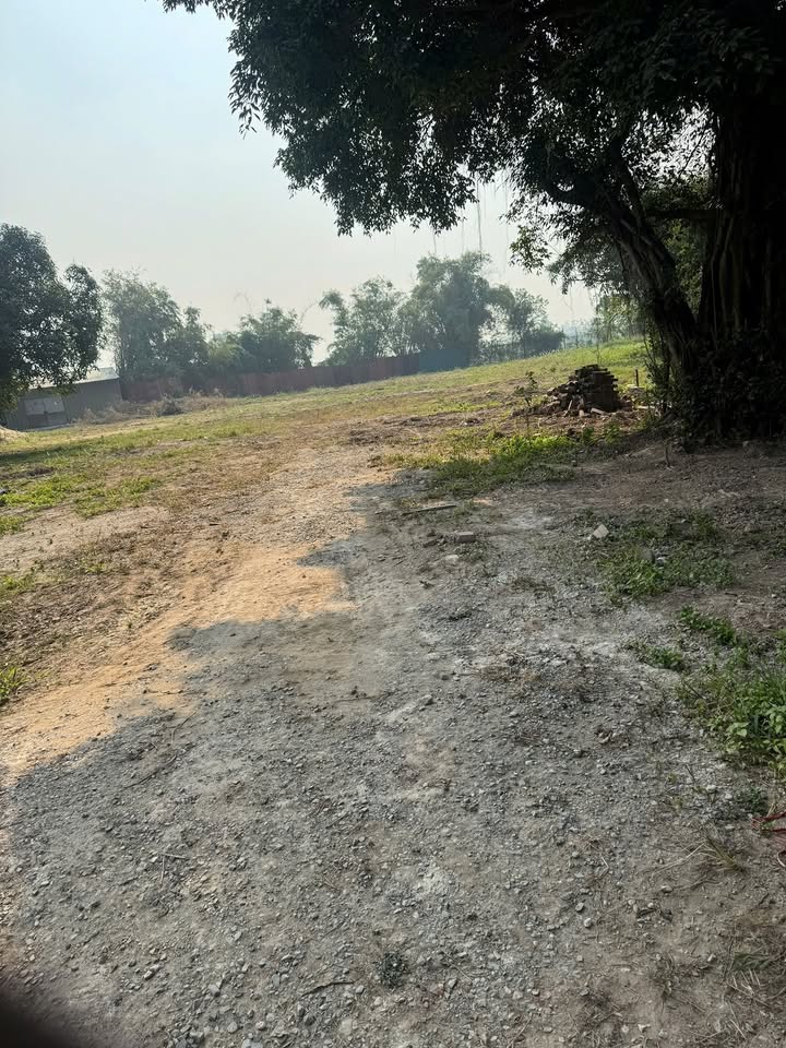 Kho xưởng cho thuê tại Xã Ngọc Hồi, Huyện Thanh Trì - Diện tích linh hoạt từ 1100m² đến 3000m²