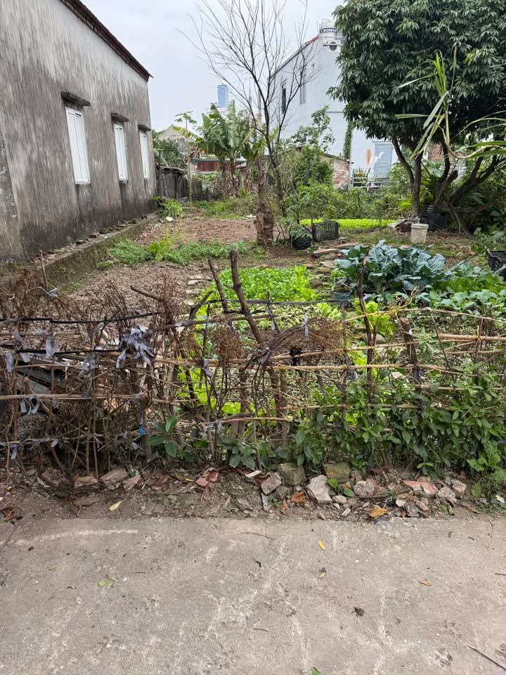 Đất thổ cư thôn Ngọ Chuyên Mỹ, Phú Xuyên 50m² giá 1 tỷ - Đường ô tô vào tận đất!