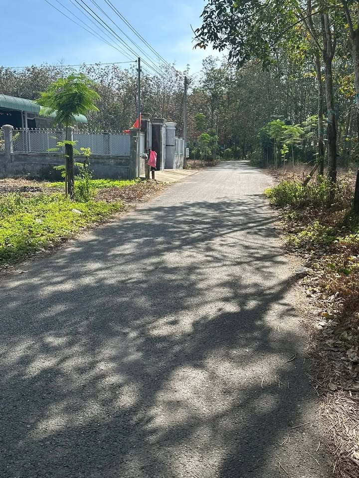 Đất nền Huyện Phú Giáo 8000m² giá 1.25 tỷ - Vị trí đắc địa gần khu dân cư!