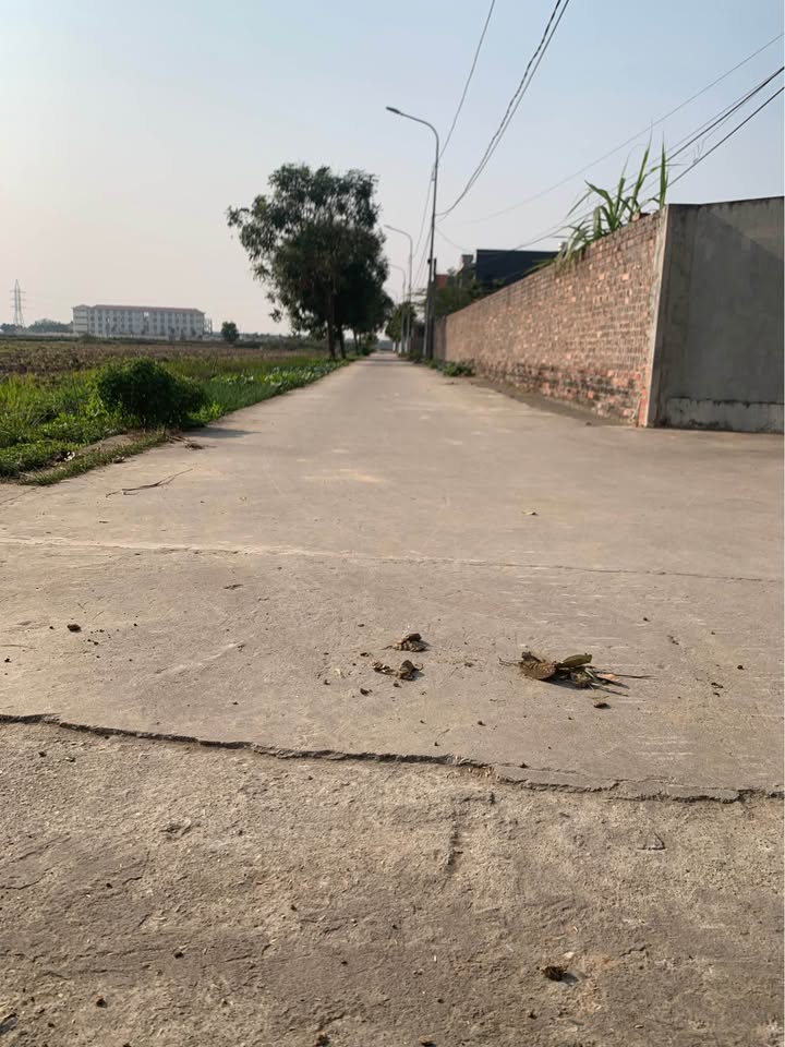 Đất nền 86m² tại Trọng Thông thoáng, Bắc Giang - Giá chỉ 1.x tỷ VND!