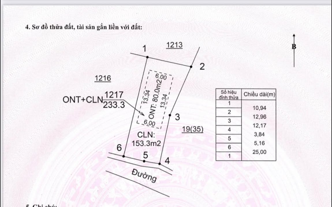 Đất thổ cư 233m² tại Bình Sơn, Lục Nam giá 400 triệu - Cơ hội đầu tư tuyệt vời!
