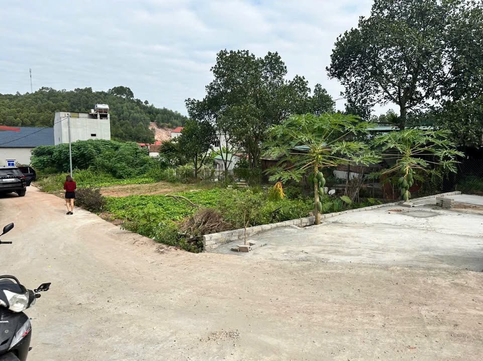 Đất thổ cư thôn Sy, Bắc Ninh 123m² - Đầu tư sinh lời hấp dẫn!