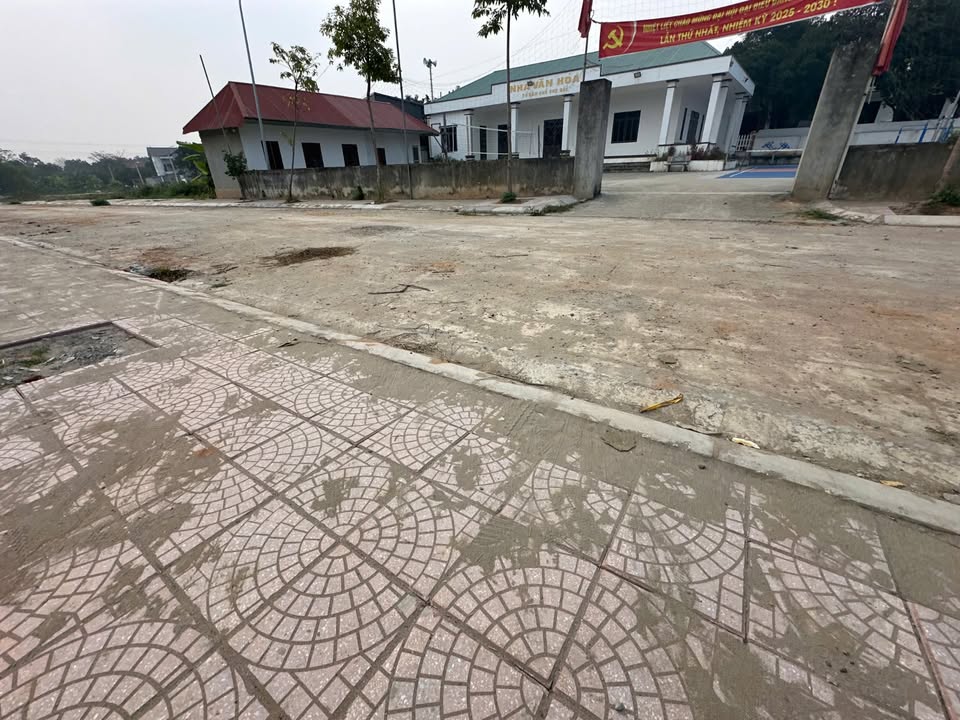 Đất nền chính chủ tại thị trấn Hợp Hòa, Tam Dương 137m² - Đầu tư sinh lời tốt!