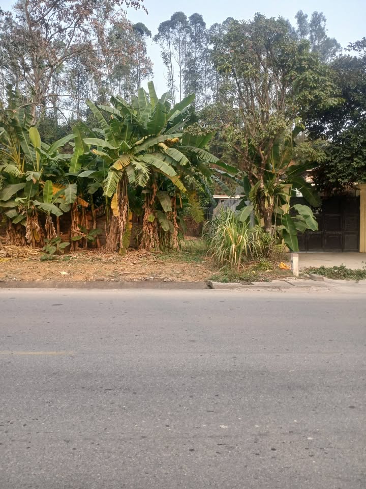 Đất thổ cư 90m² tại xã Tiên Kiên, huyện Lâm Thao - Vị trí thuận lợi gần trường học và chợ!