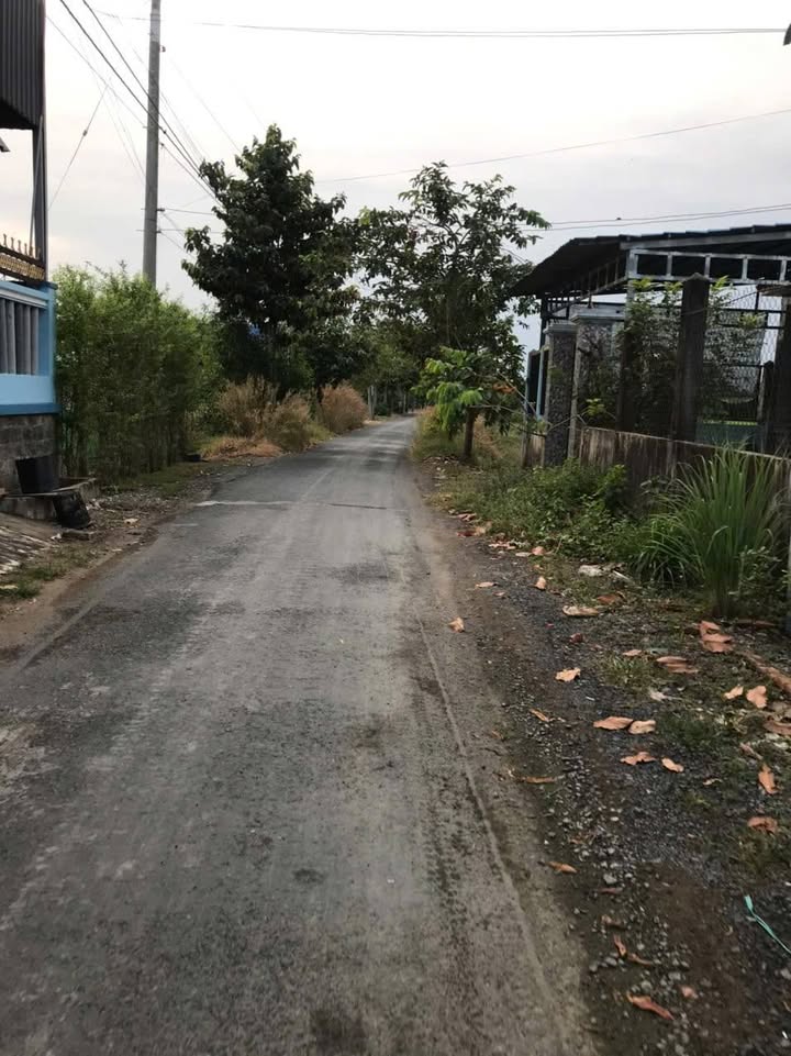 Đất thổ cư 158m² tại Ấp Phú Thạnh, Cần Giuộc, Giá 1.45 tỷ - Cơ hội đầu tư tuyệt vời!