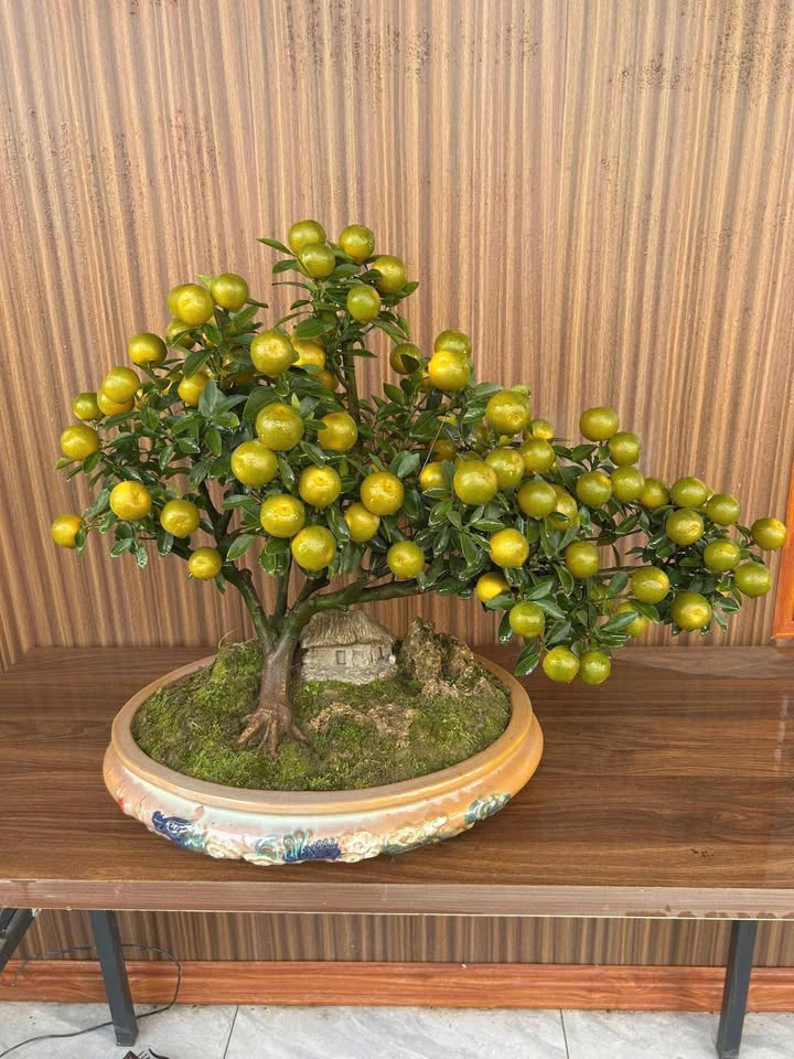 Nhà mặt phố Nguyễn Gia Thiều Bắc Ninh 79m² giá 3x tỷ - Đầu tư sinh lời ổn định!