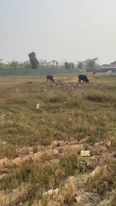 Đất nền 150m² tại Tam Nông, Phú Thọ - Sổ đỏ chính chủ, giá thỏa thuận!