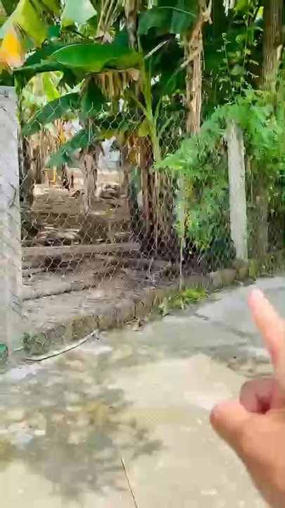 Đất nền Bình Nguyên, Thăng Bình, 115m², giá chỉ từ 700 triệu - Cơ hội đầu tư tuyệt vời!