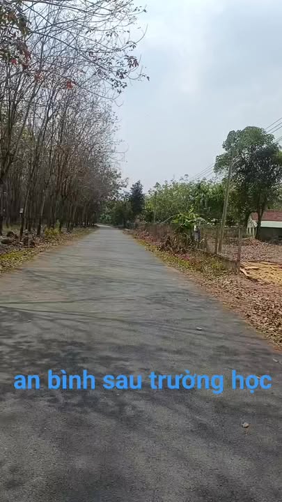 Đất nền 600m² tại Nhựa lớn An Bình, Phú Giáo - Giá chỉ 1.65 tỷ, cơ hội đầu tư tốt!