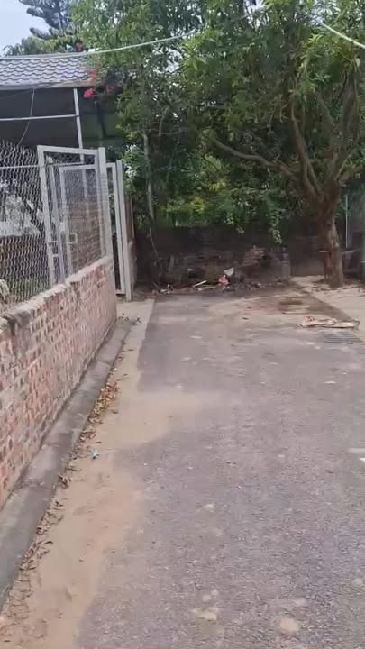 Đất nền Xuân Canh Đông Anh 90m² giá 8.55 tỷ - Cơ hội đầu tư hấp dẫn!