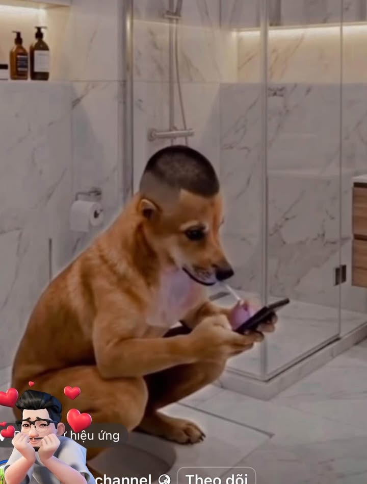 Nhà gác lửng đúc kiên cố tại Kiệt Tô Hiệu, 50m² giá 1.45 tỷ - Sẵn sàng vào ở!